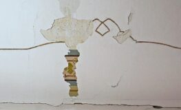 023 - mehrere renovationen